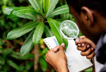 Overcoming the Challenges of Environmental Compliance in Today's World